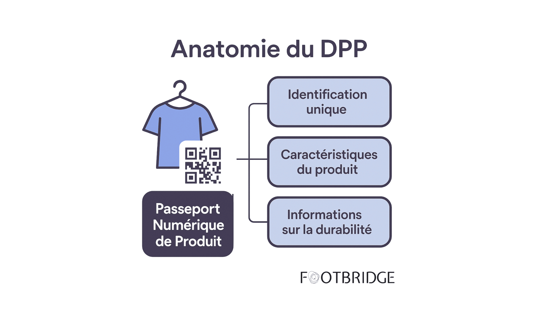 Anatomie DPP Footbridge Copie